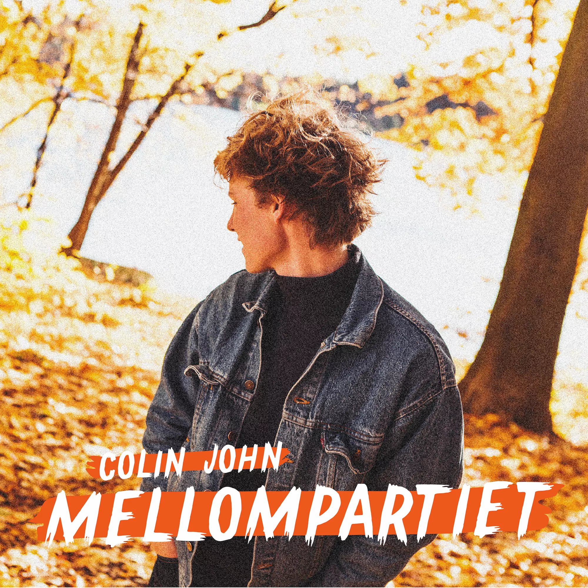 Mellompartiet - Colin John