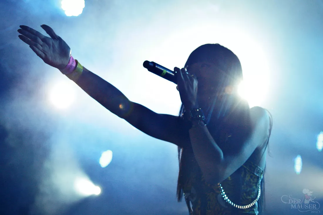 Linkoban : Roskilde Festival, Pavilion Junior