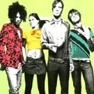 Detaljer om nyt The Dandy Warhols-album