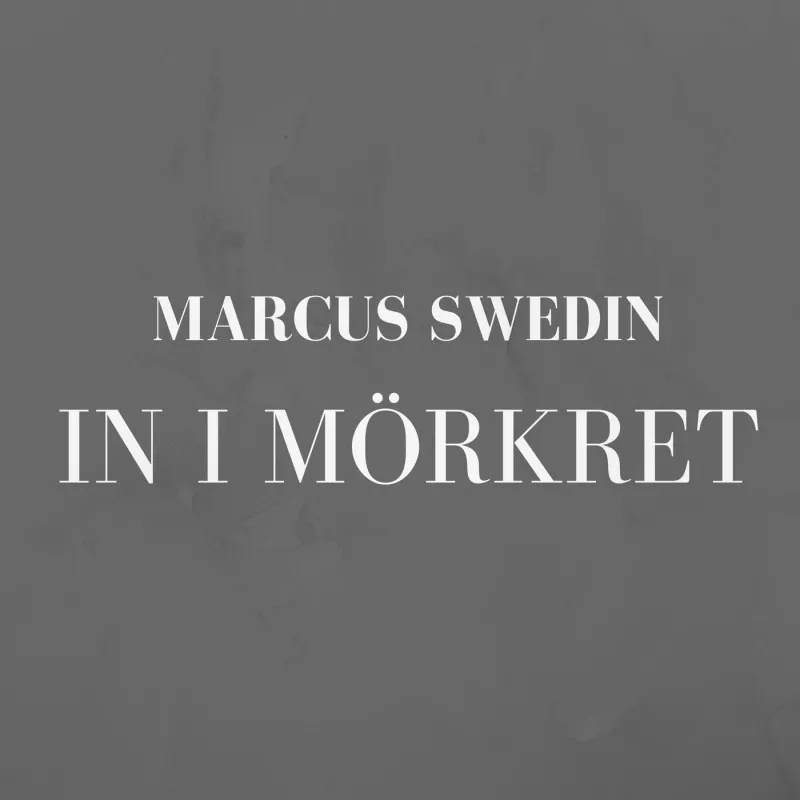 In I Mörkret - Marcus Swedin
