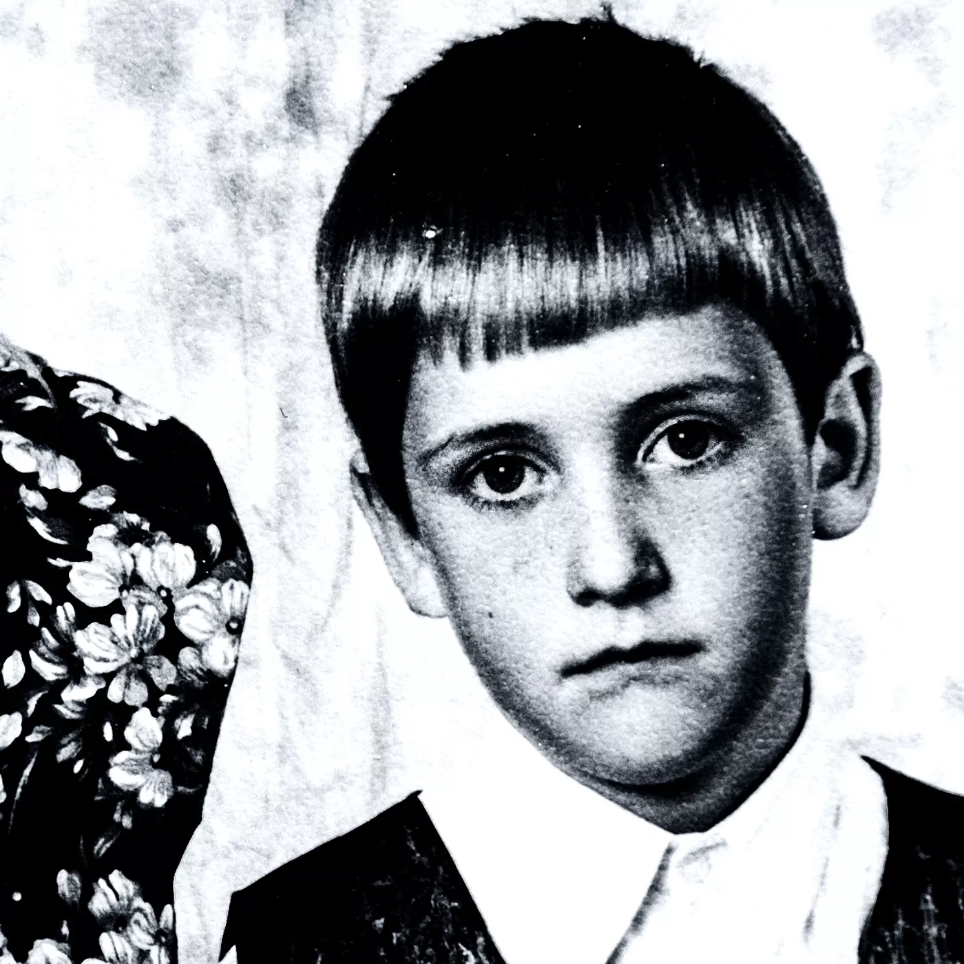 Vemodig och silkeslen