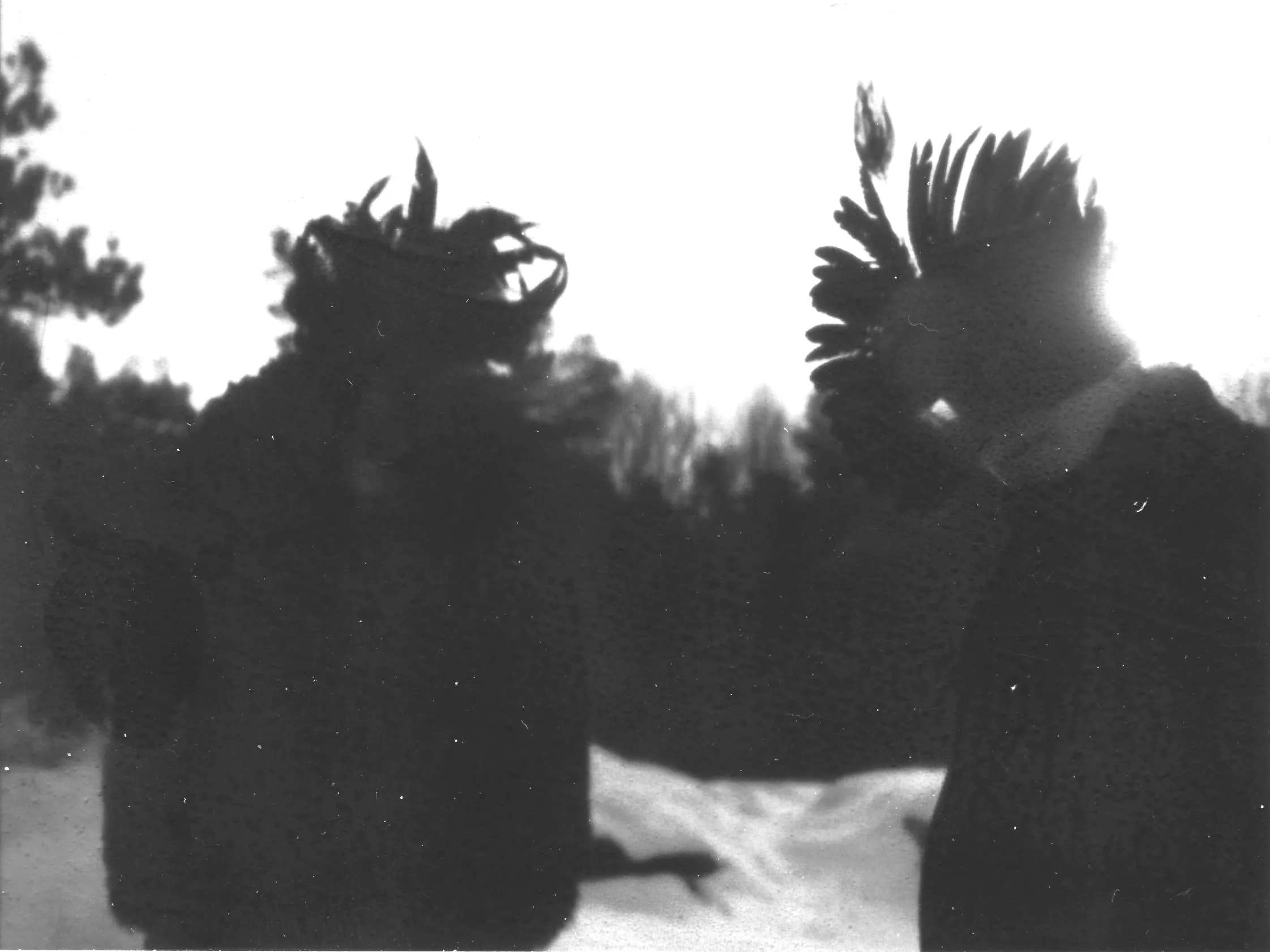 Festivalprat: Tremoro Tarantura