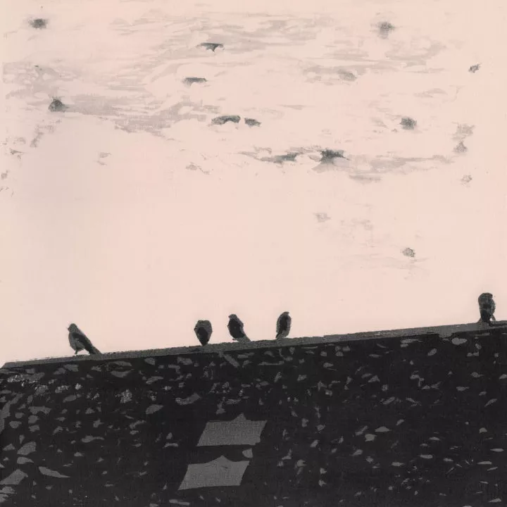 Stilfærdigt besættende soloalbum fra Tindersticks-frontmanden