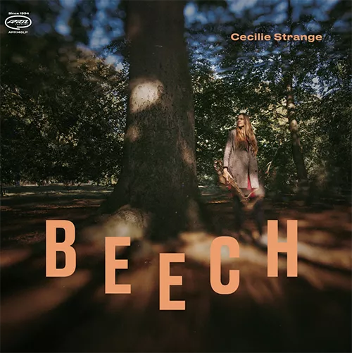 Beech - Cecilie Strange