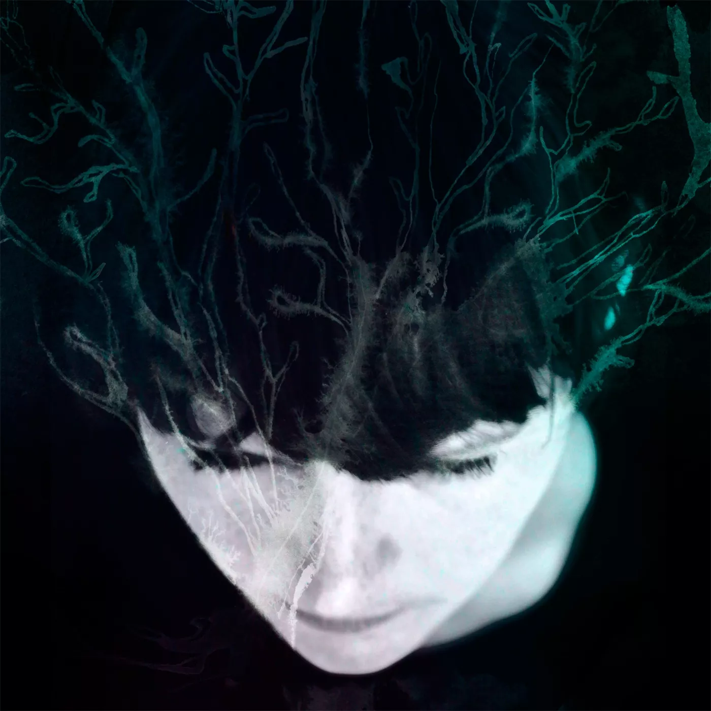 While We Still Have Light - Hanne Kolstø