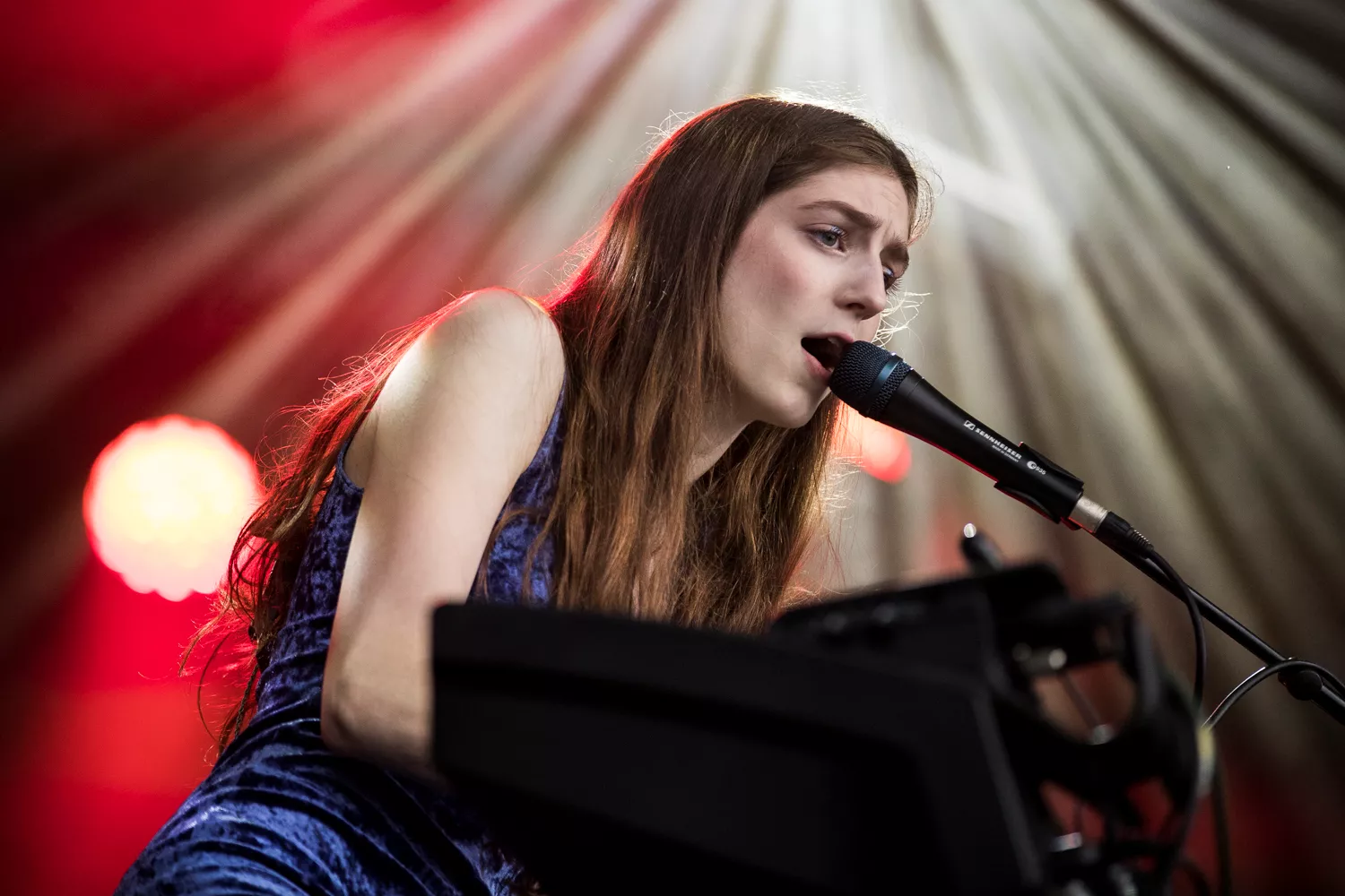 Nattergalen synger i eftermiddagsregnen