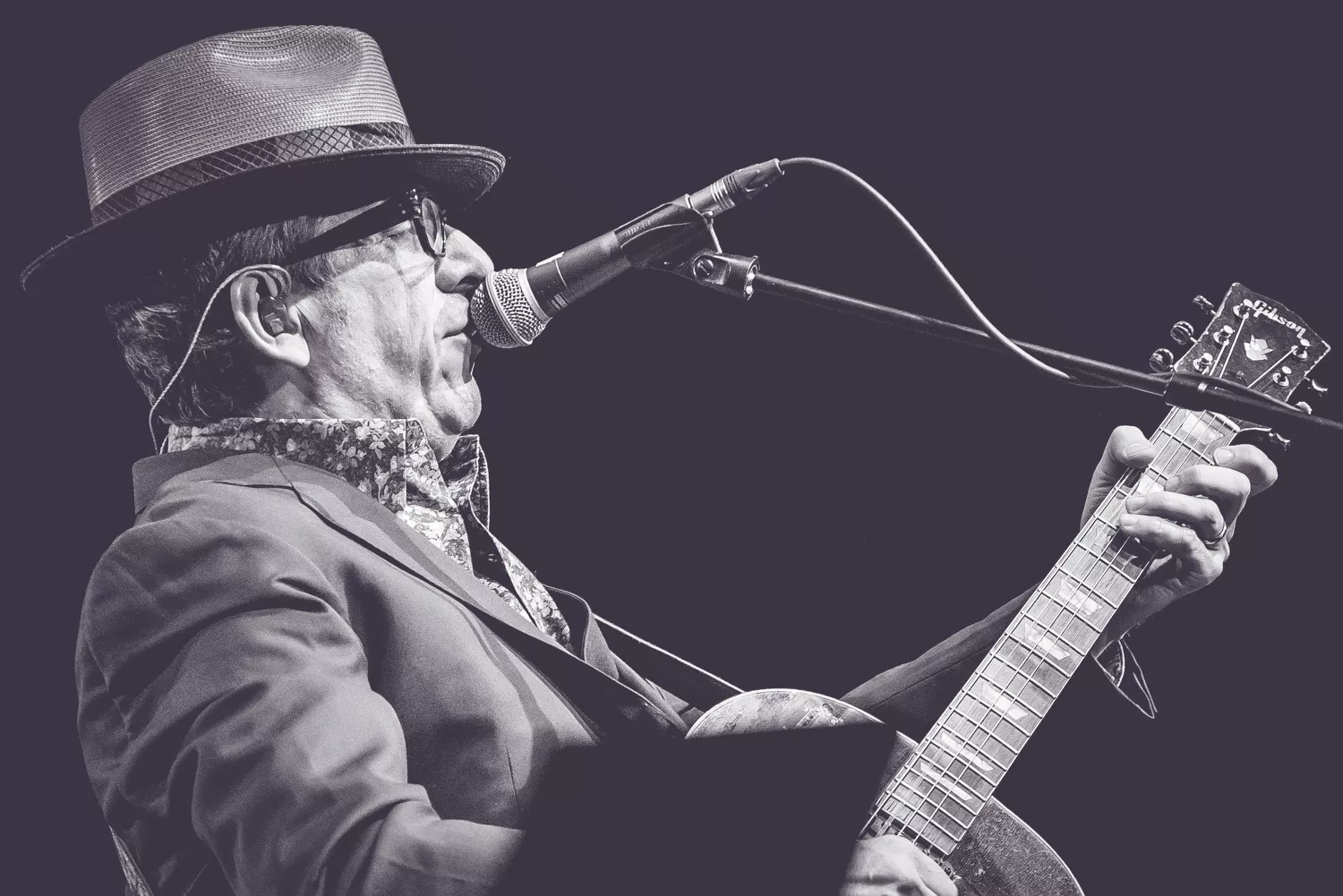 Elvis Costello kommer til Danmark