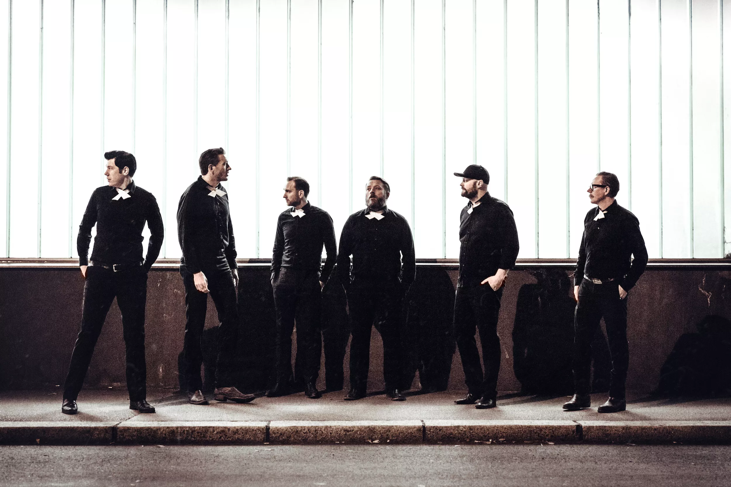 Samme gamle gode The Dogs