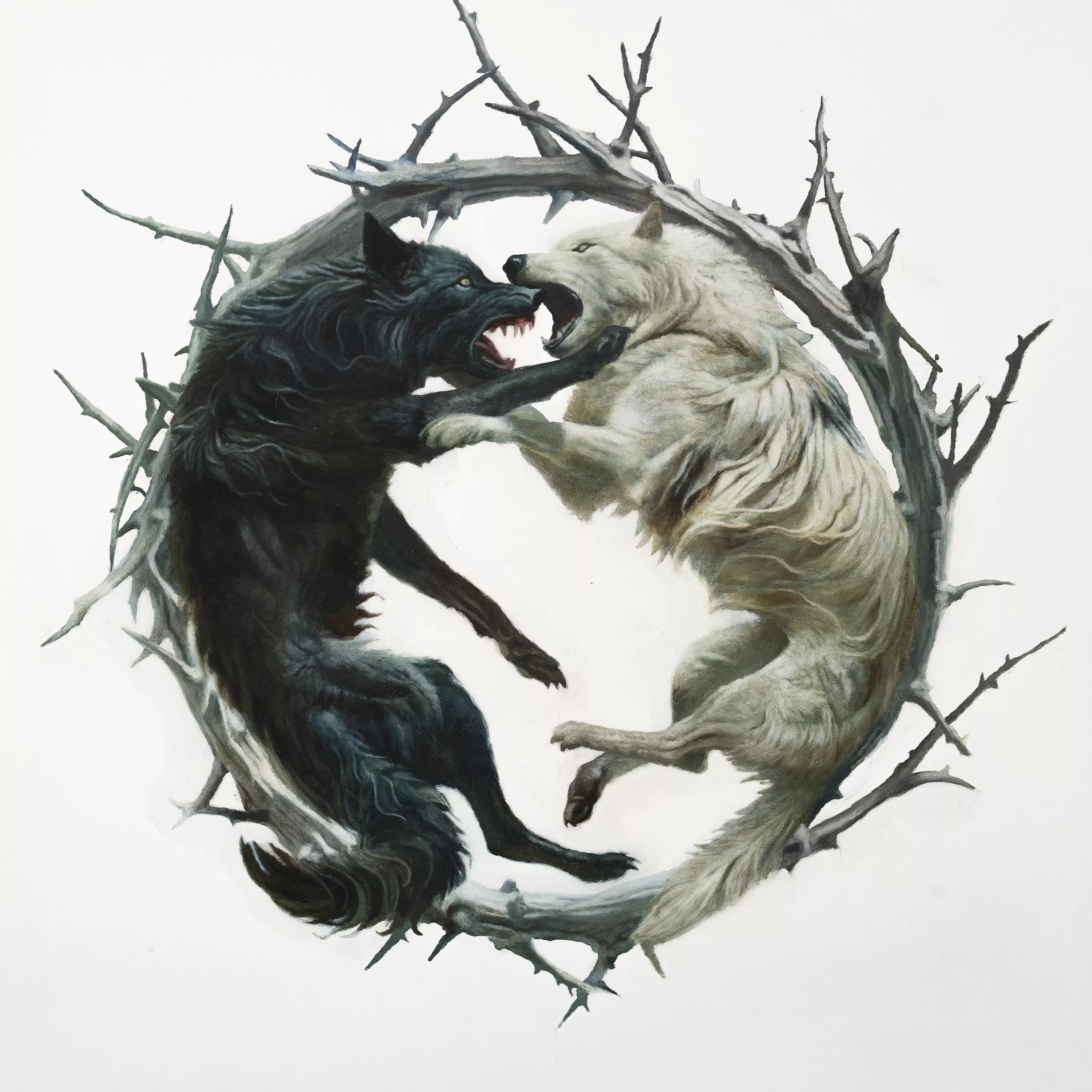 Phantom : : Phoenix - Stellar Circuits