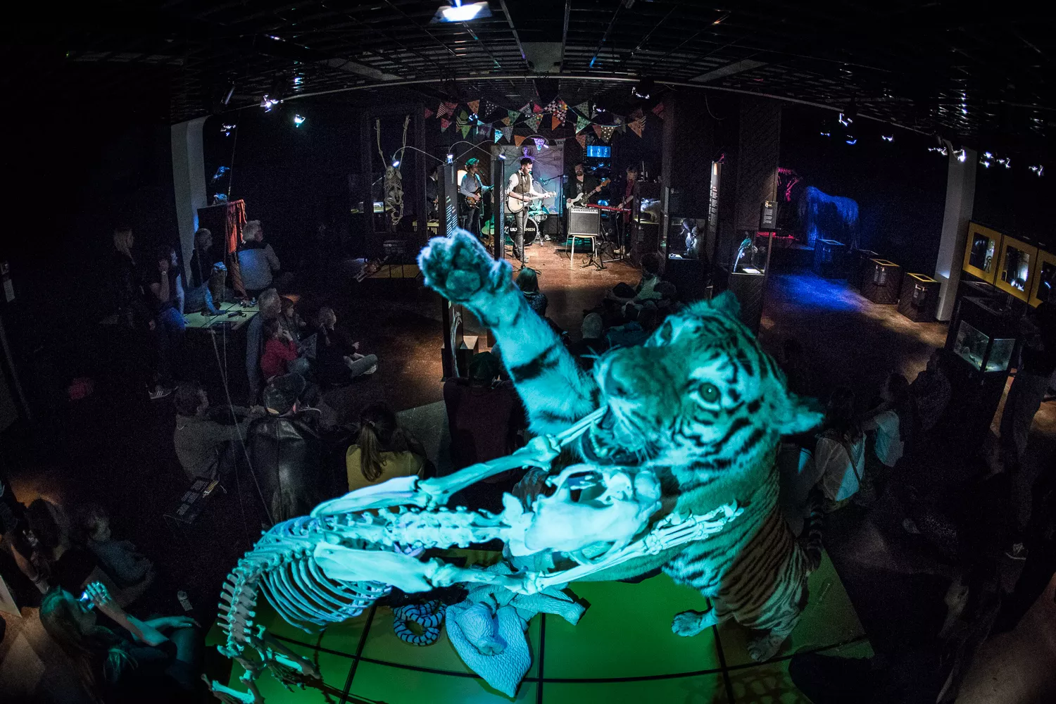 Ulvetimen: Naturhistorisk Museum, Aarhus