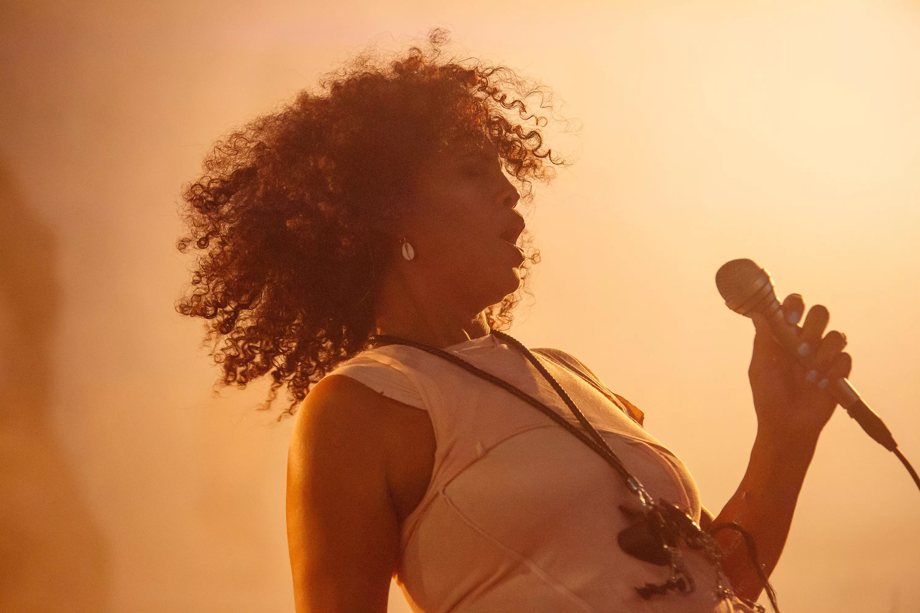 Total artistisk integritet