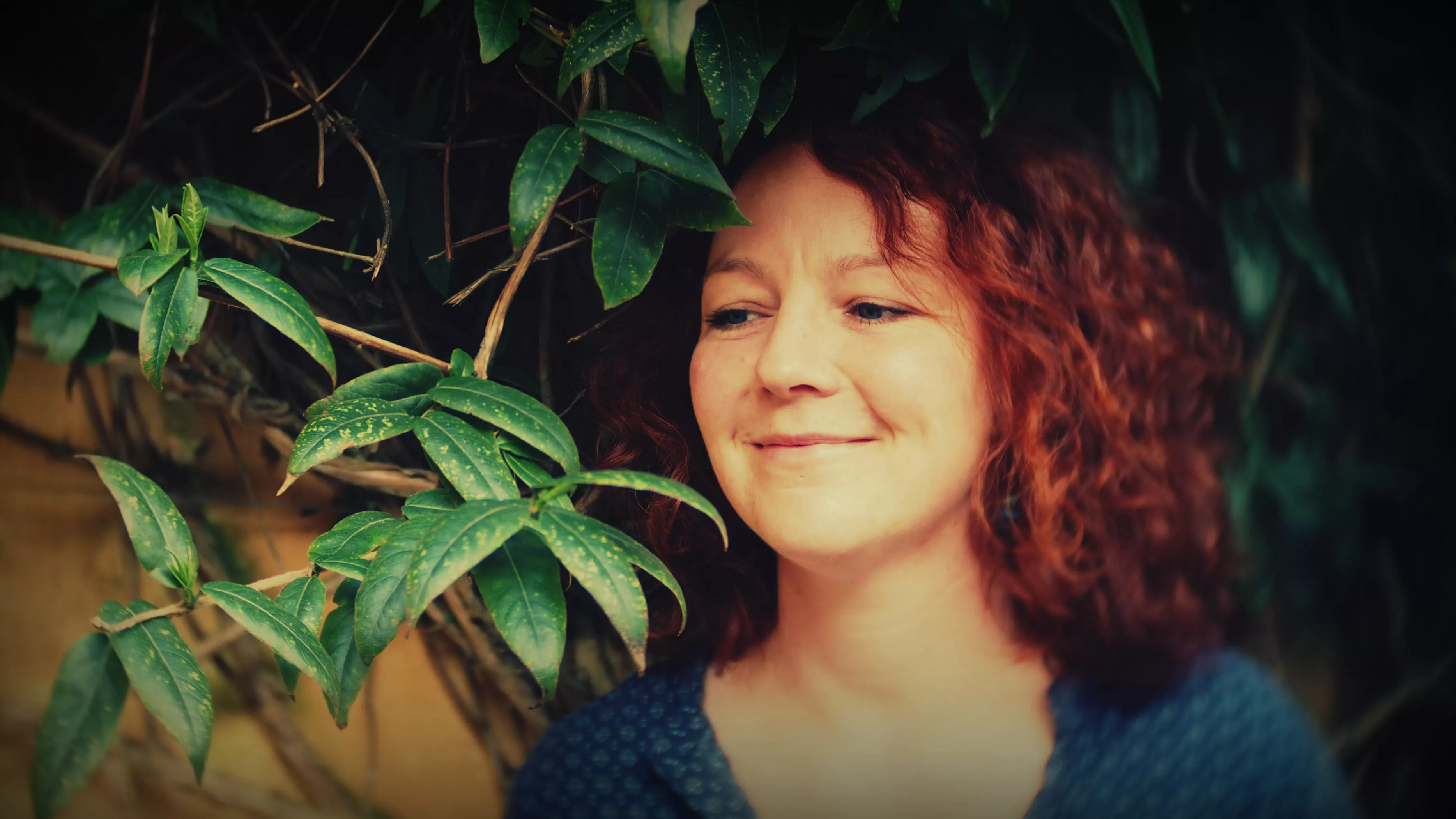 ANMELDELSE: Mainstream møder mindfulness