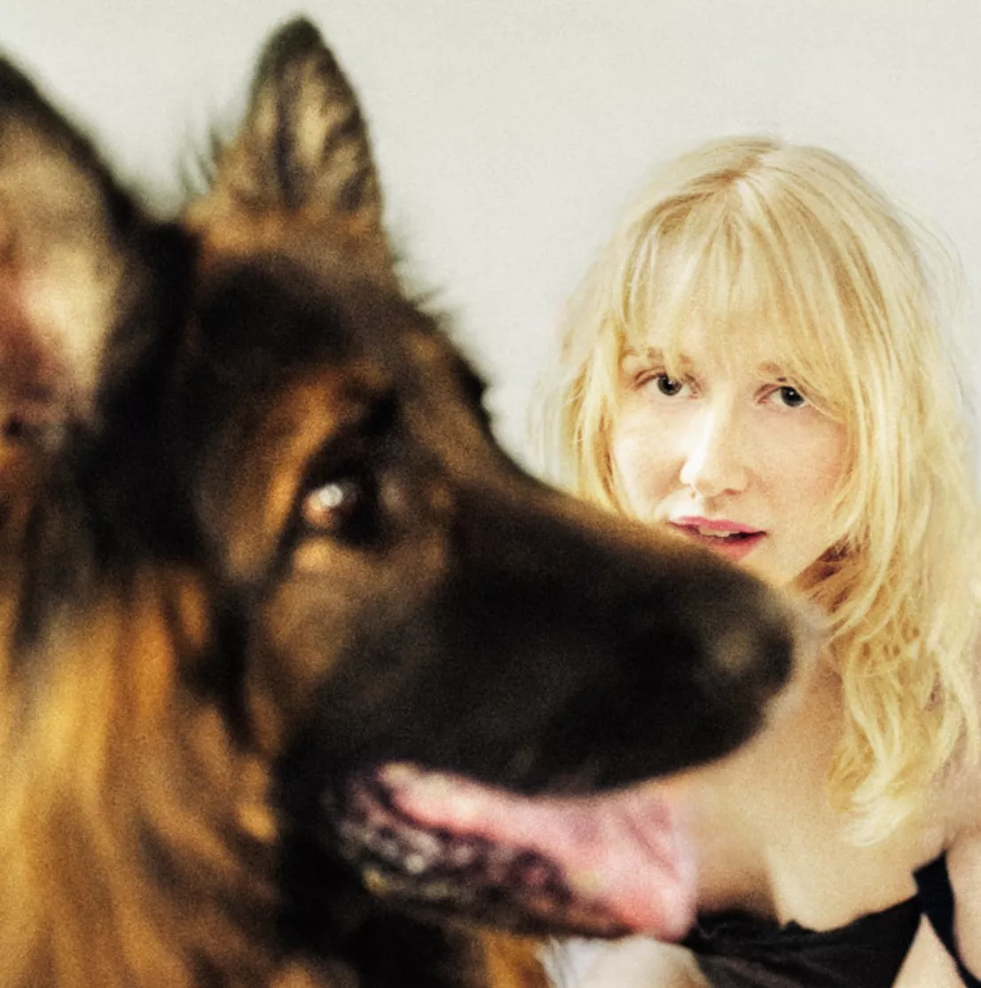 Good Dog For Sale - Vilma Crow