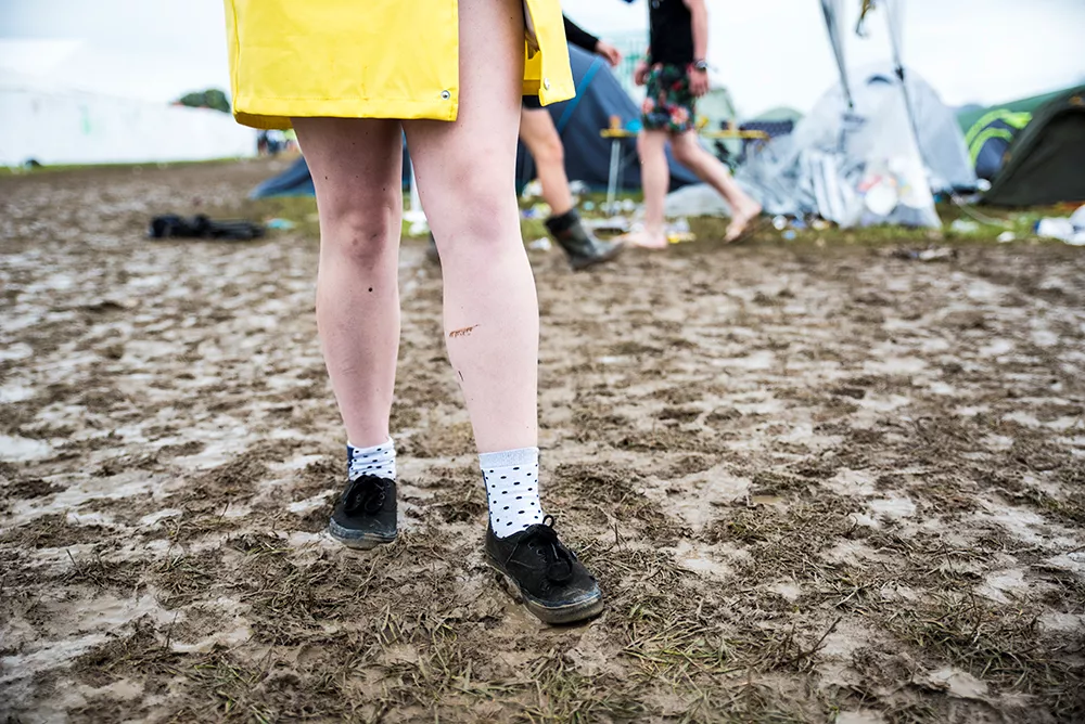 100 av 114 sexanmälningar på Sveriges festivaler nedlagda