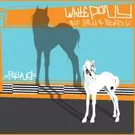 White Pony singledebuterer i dag