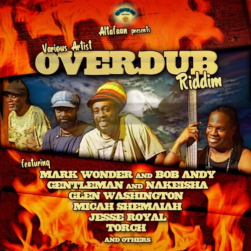 Overdub Riddim - Various