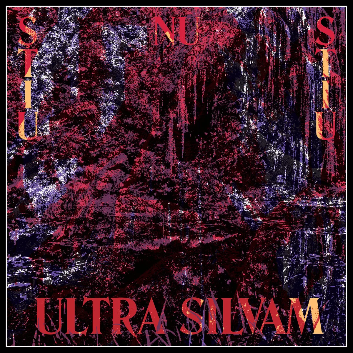 Ultra Silvam - Stiu Nu Stiu