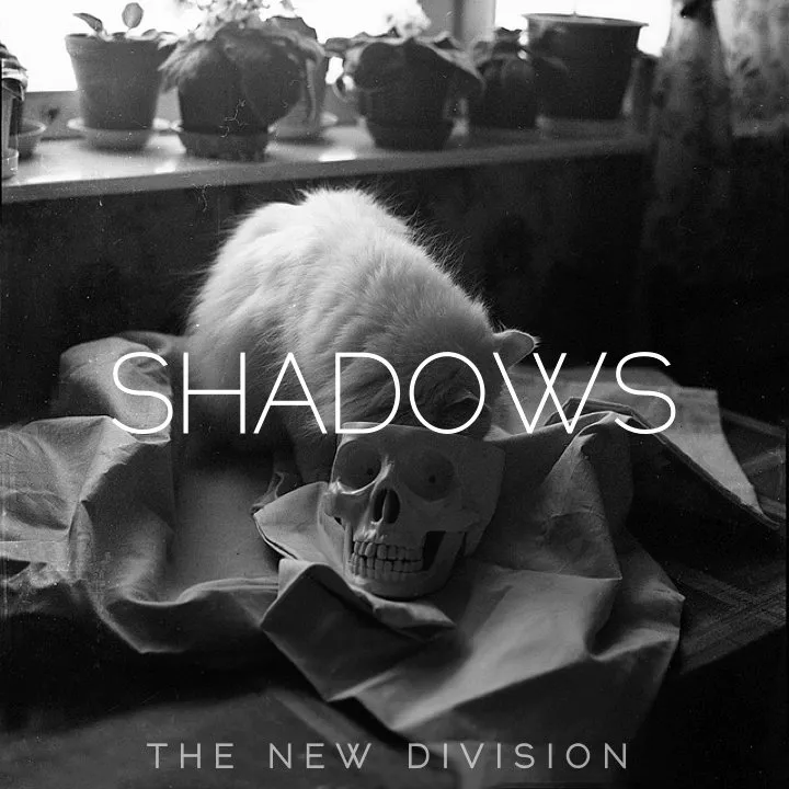 Shadows - The New Division