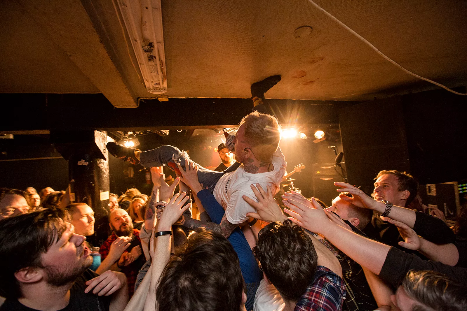 Ny studie: Konserter har en effekt på hvor lenge vi lever