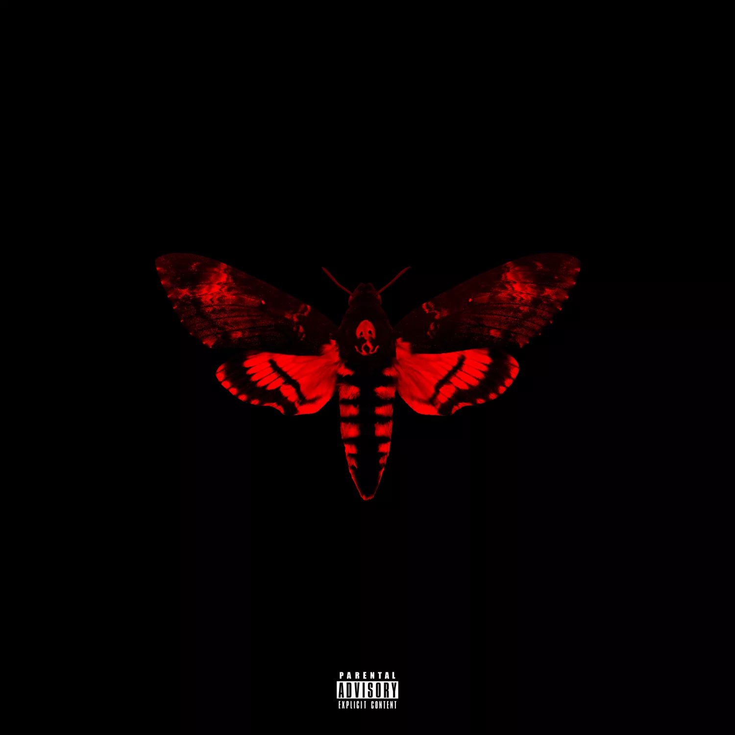 I Am Not A Human Being 2 - Lil Wayne