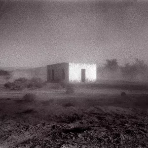 'Allelujah! Don't Bend! Ascend! - Godspeed You Black Emperor!