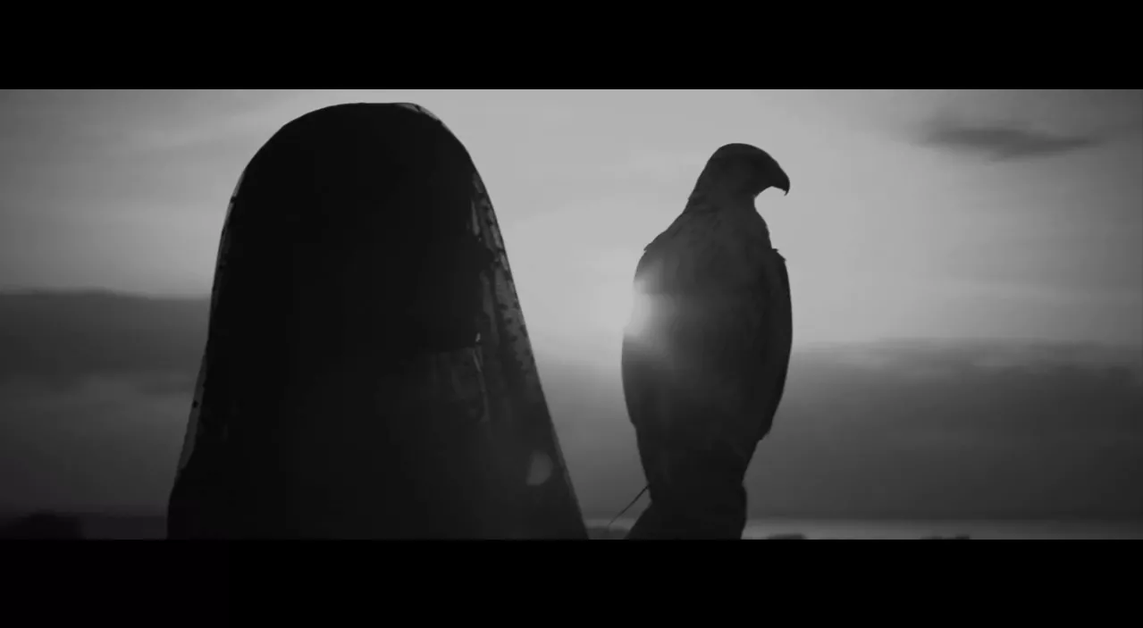 Videopremiere: Where Did Nora Go blotter følelserne