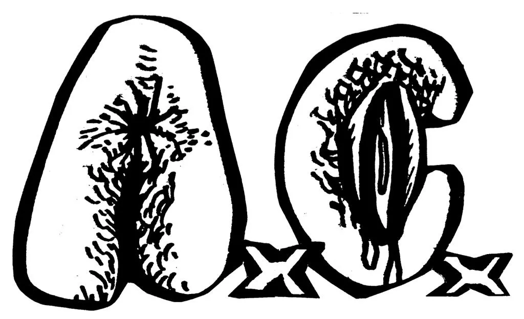 Anal Cunt-gitarist Josh Martin døde etter fallulykke