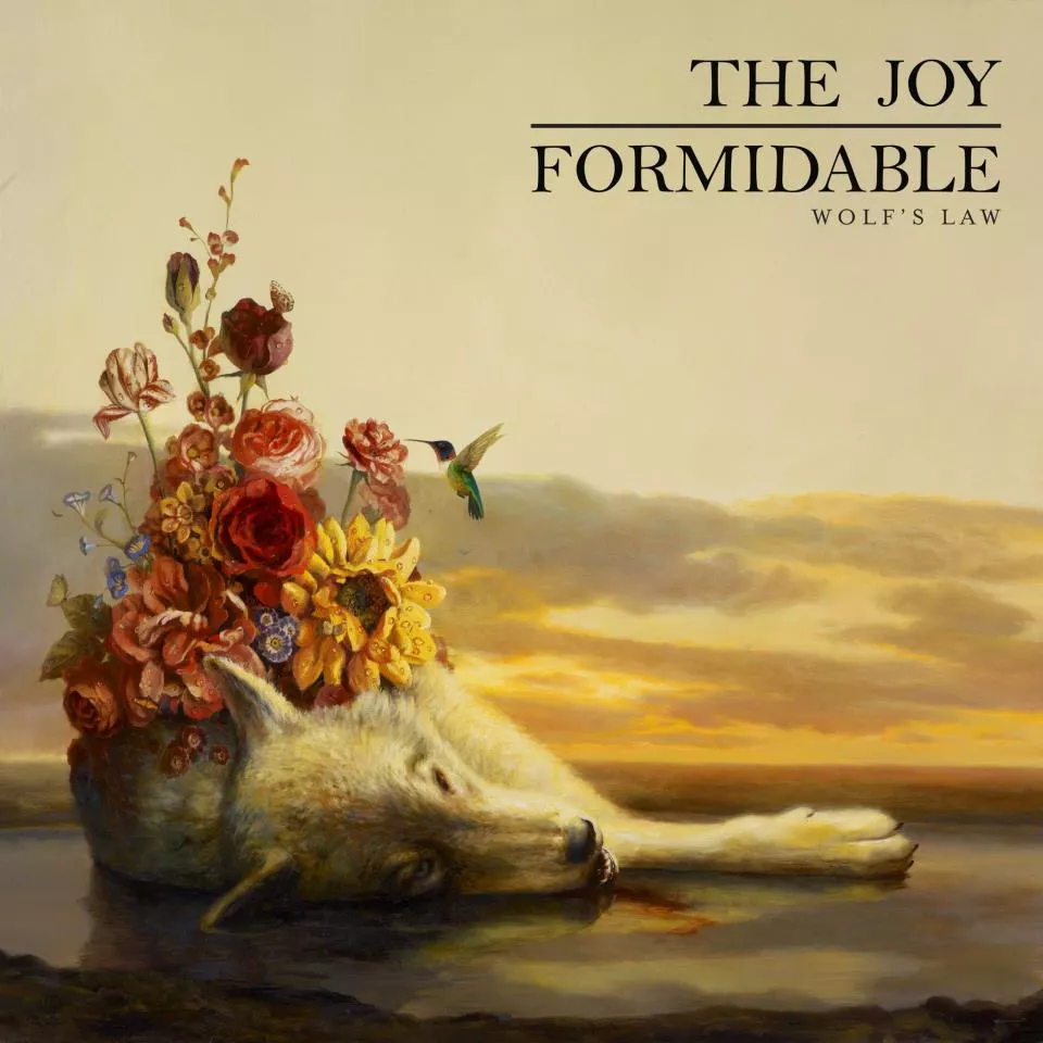 Wolf´s Law - The Joy Formidable