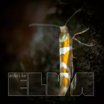 Elva - Anders Ilar