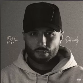 Dit liv, dit valg - Stepz