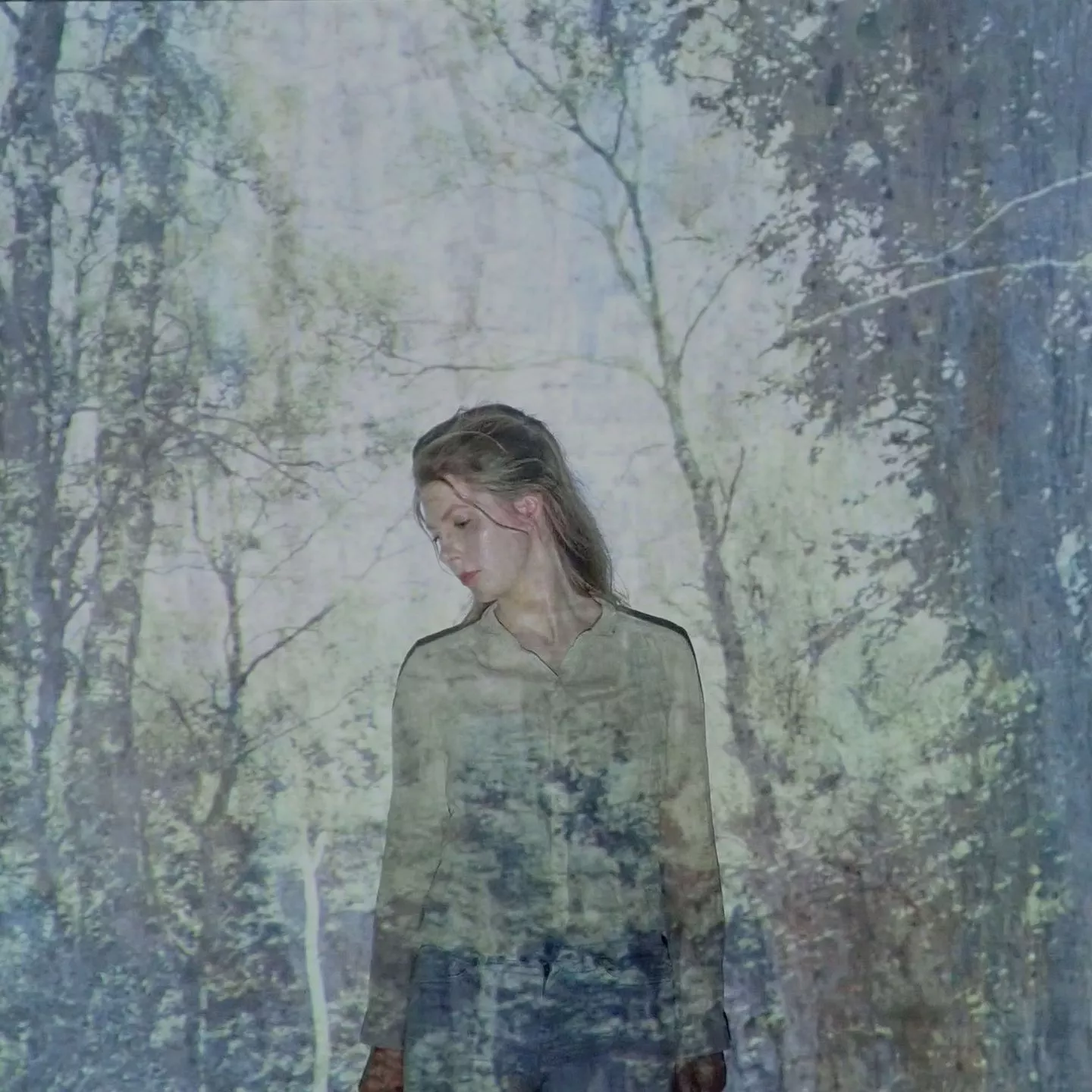 Birds and Beasts - Out of the Woods