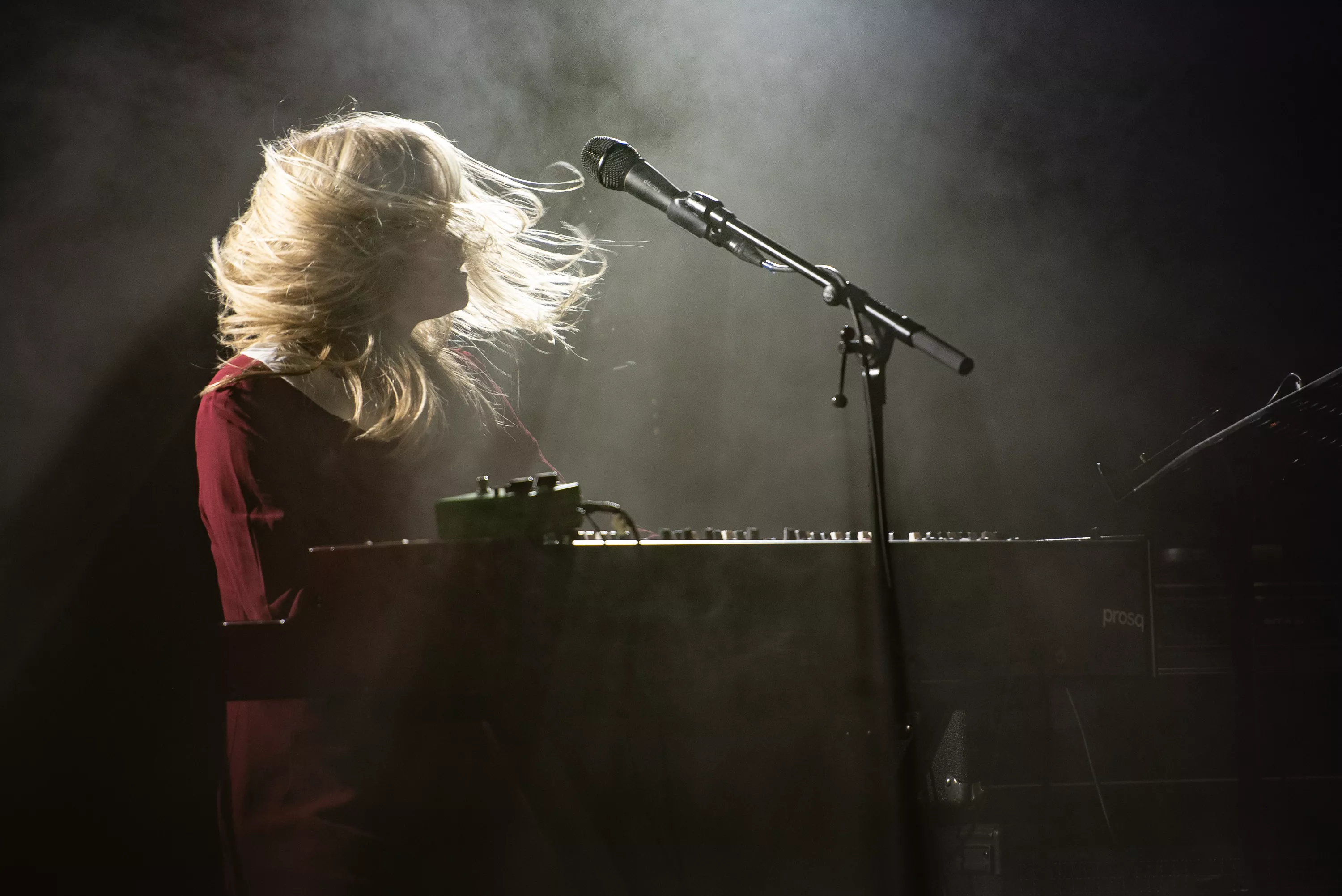 Gåshuden ljuger aldrig