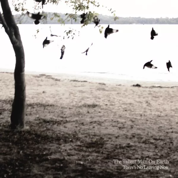 There's No Leaving Now - The Tallest Man On Earth