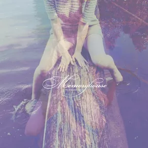 The Slideshow Effect - Memoryhouse