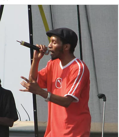 Del The Funky Homosapien roser det danske sundhedssystem