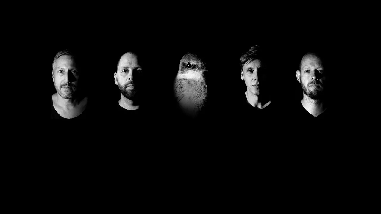 ANMELDELSE: Elskelige excentrikere på det ornitologiske overdrev