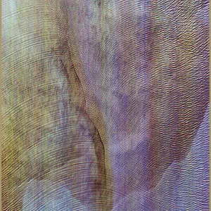 Sub Verses - Akron/Family