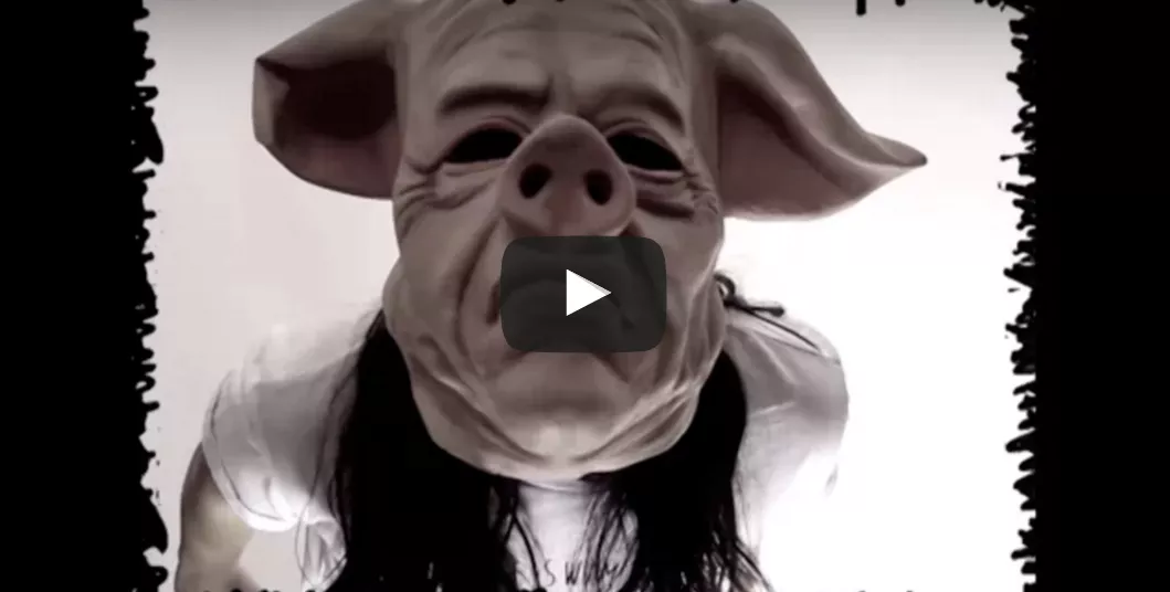 VIDEOPREMIÄR: Twin Pigs - Got Enough