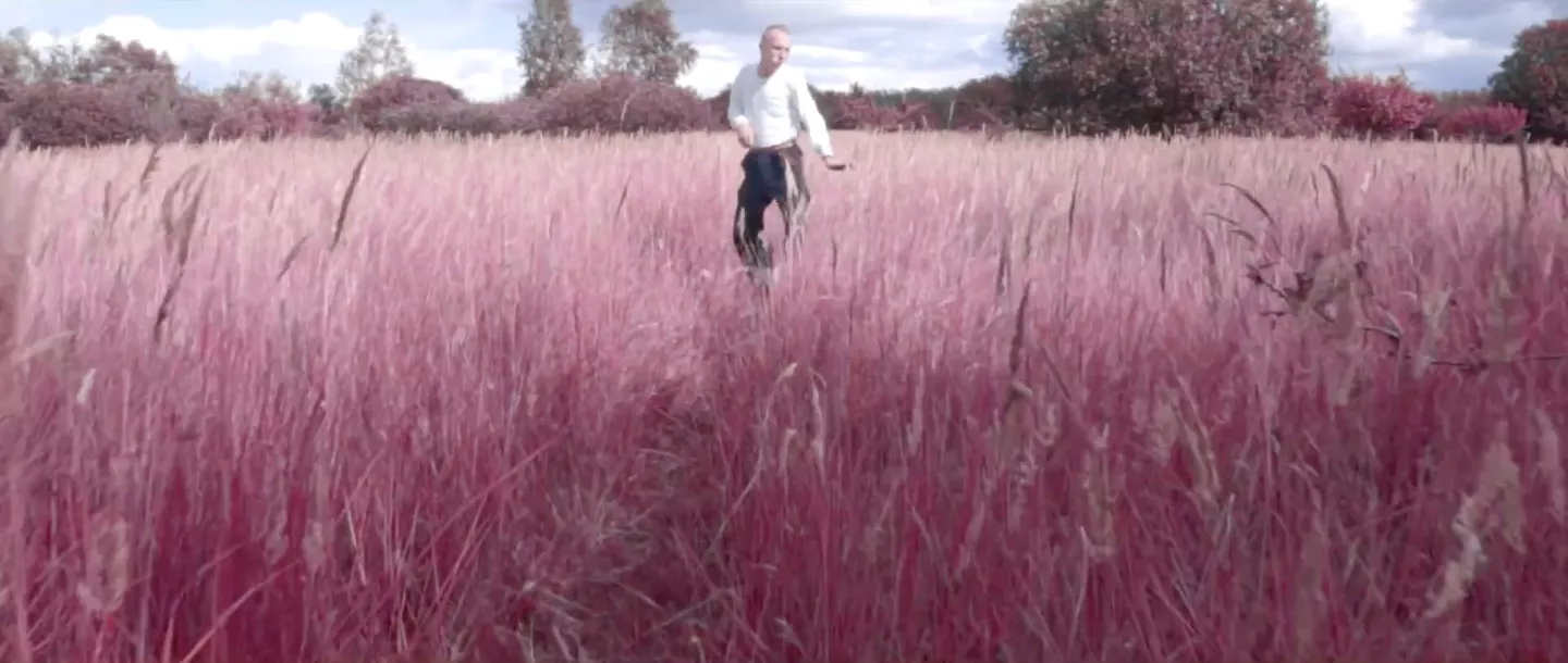 Skarnet lummerlyd og frejdige fortryllelser