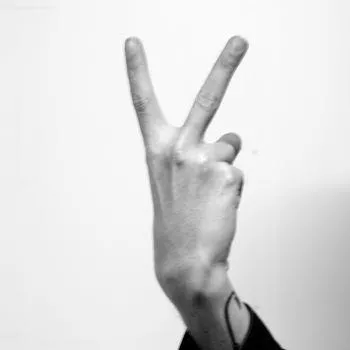 Idiotologi - Västerbron