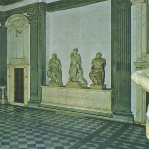 St. Catherine - Ducktails