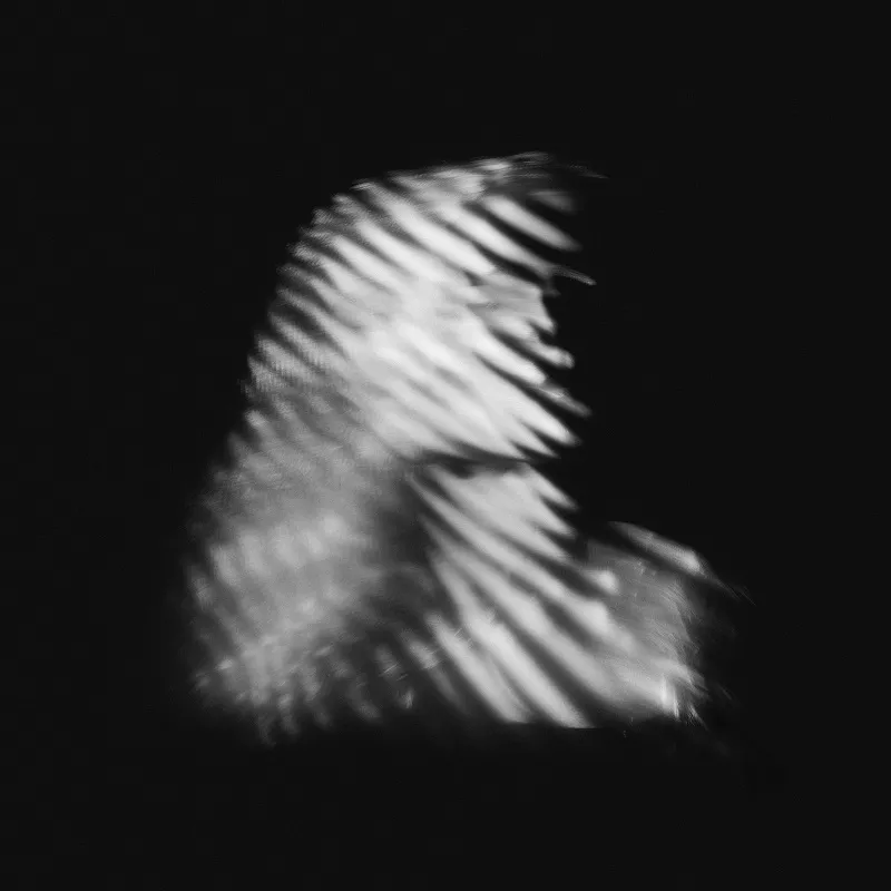 Sliding Off The Edge Of The World - NuBorg