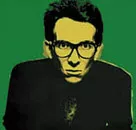 Elvis Costello og Diana Krall skal giftes