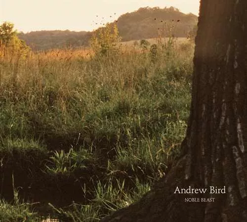 Noble Beast - Andrew Bird