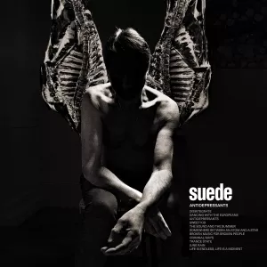 Antidepressants - Suede