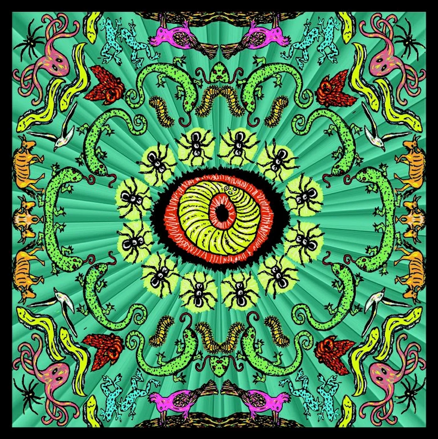 Wilderness - The Handsome Family