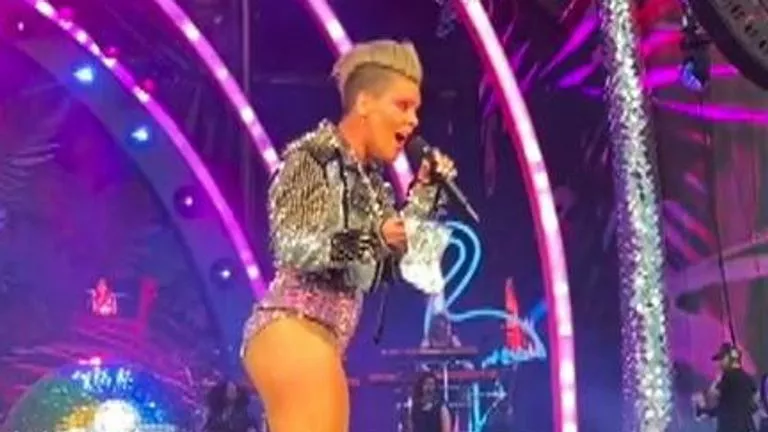 Fan kastar mammans aska på Pink under konsert – se här