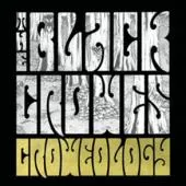 Croweology - The Black Crowes