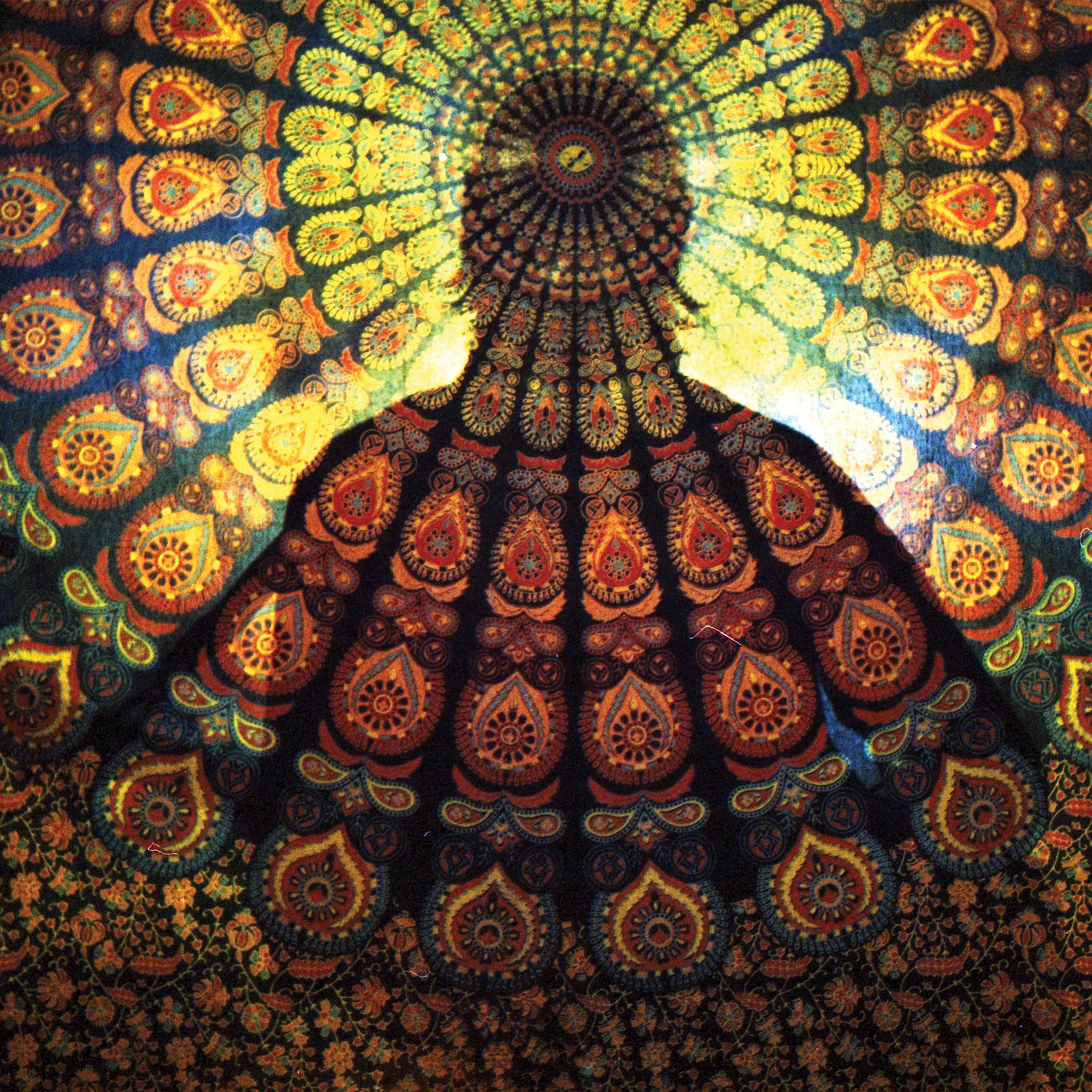 Island - Rainbrother