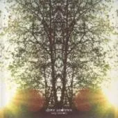 Only Mirrors - Drew Andrews